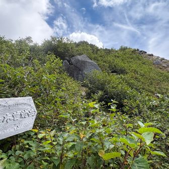 木曽前岳まで46分とあるが、、、