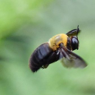 ブーン🐝
何もしないと言われてもちょっと怖い