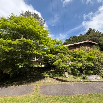 ユーシンロッジ
since1970年

当時はここまで車でアクセスできたらしい。
ここから丹沢の山々を目指したんでしょうか
基地としては最高！

観光客はここで泊まって軽く散策したのかも。上高地みたいに登山客と観光客両方が宿泊していたのかな、と思わせる