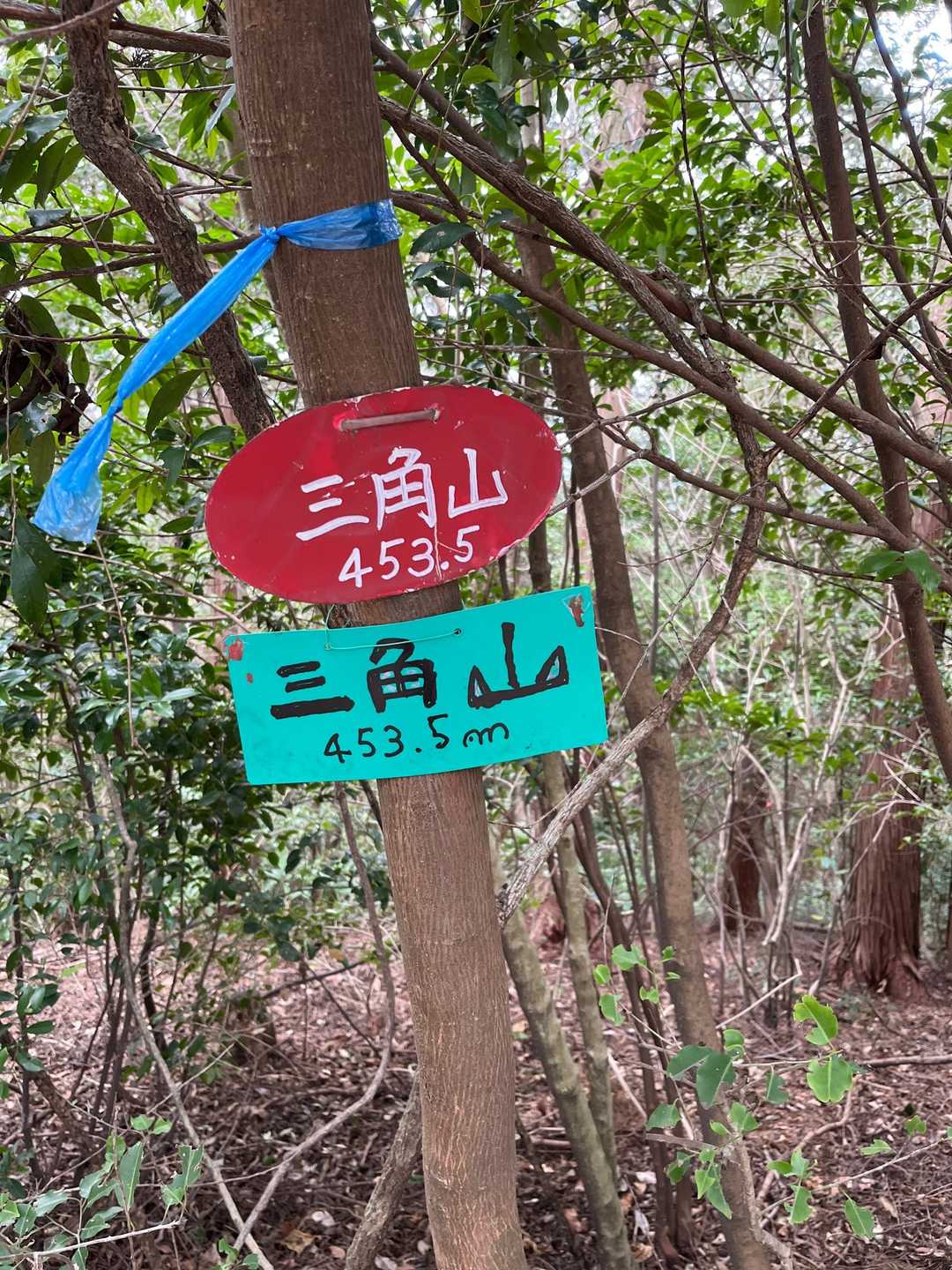 やっぱり行きました❗️
三角山山頂〜。
