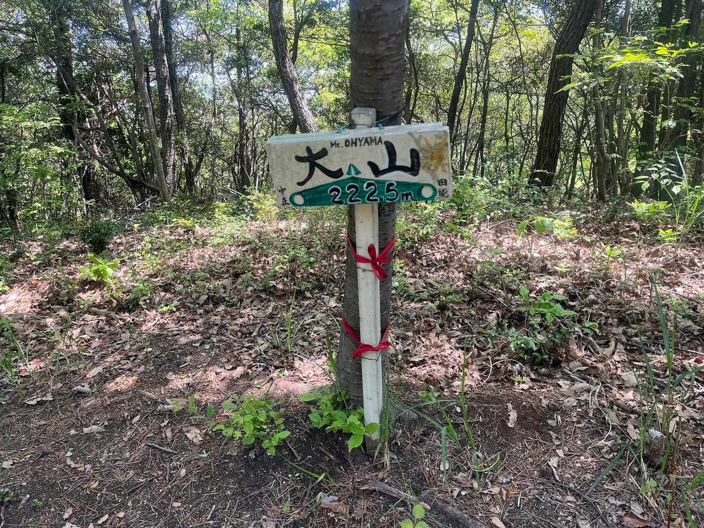 大山着いた🙌
