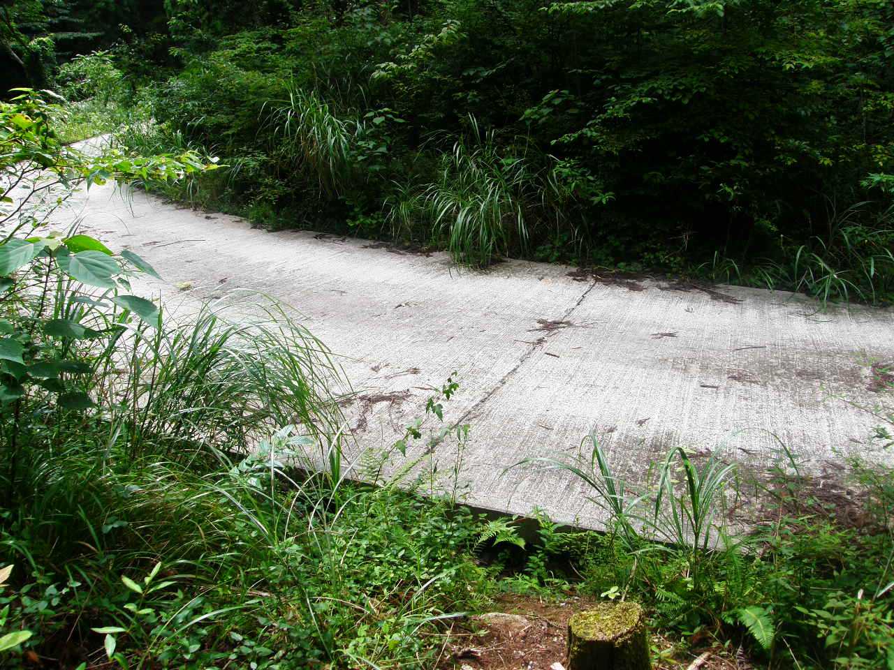 やがて舗装路に出て、