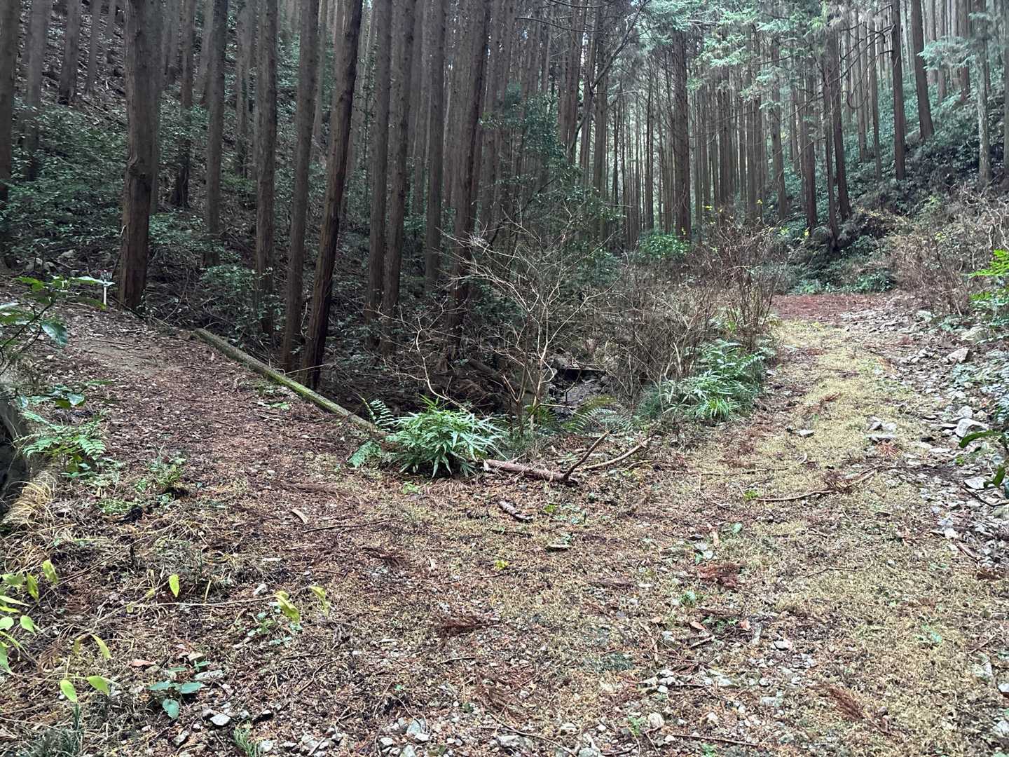 まっすぐ行きかけましたが、すぐに気づいて左へ