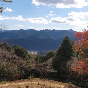 寄り道展望台からのぞむ大斎原