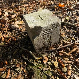 中山谷山の三角点🔺