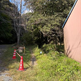 今度はここから登ってみよううかな。