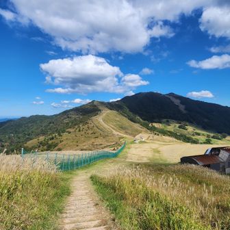 鉢伏山山頂が見えてきて
