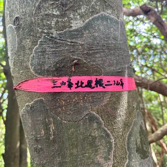 北尾根ニ峰🙌