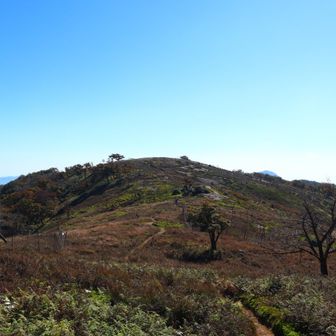 奥の平から御池岳