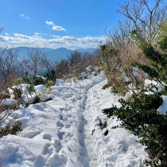 晴れたら気持ち良い🎶
