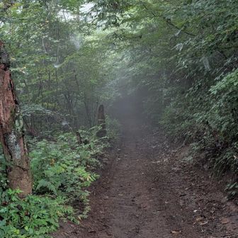さて、陣馬高原下に向かって下山します。