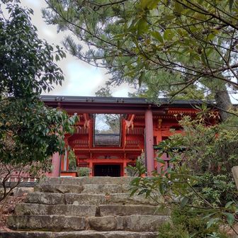 弥山近くの御山神社