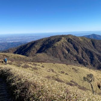 丹沢山までの道
さっき言われた蛭ヶ岳はここからスタートって、景色がここから更に良いよって意味があるのでは？と思いながら歩く