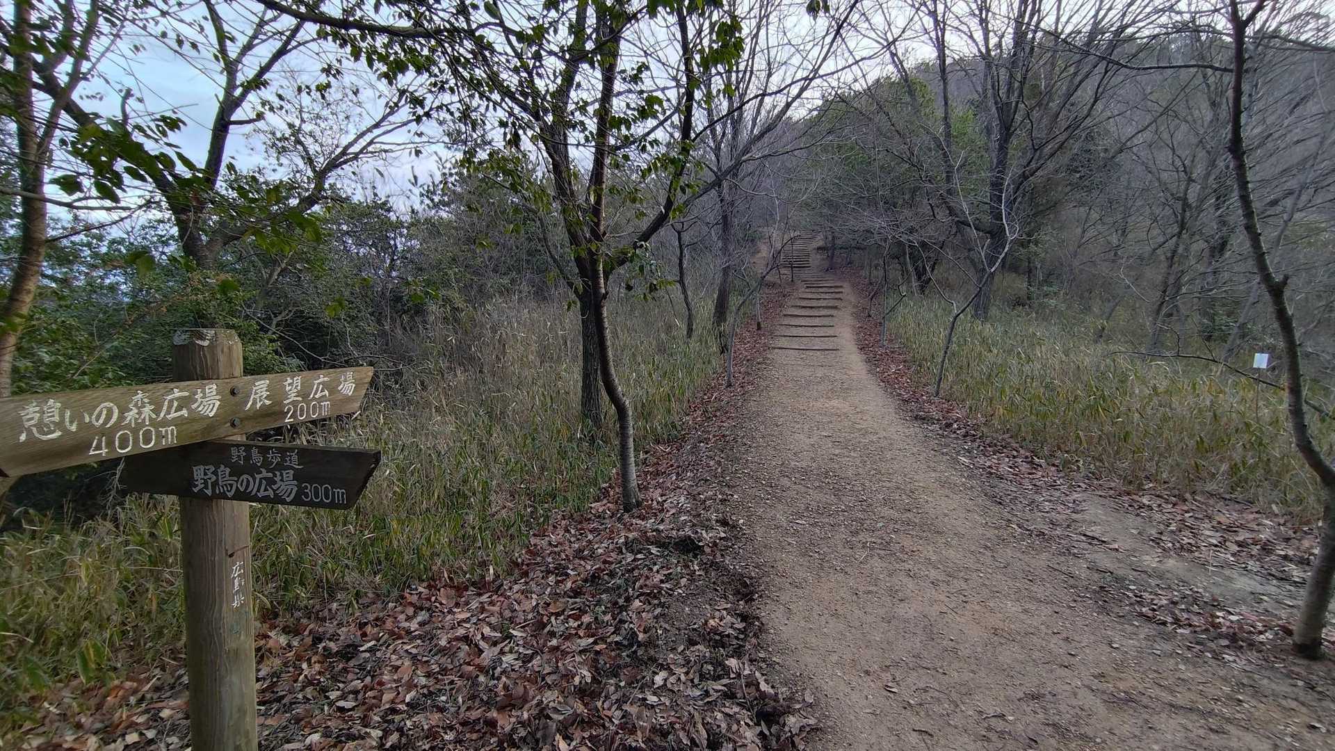 山頂まであと少し。