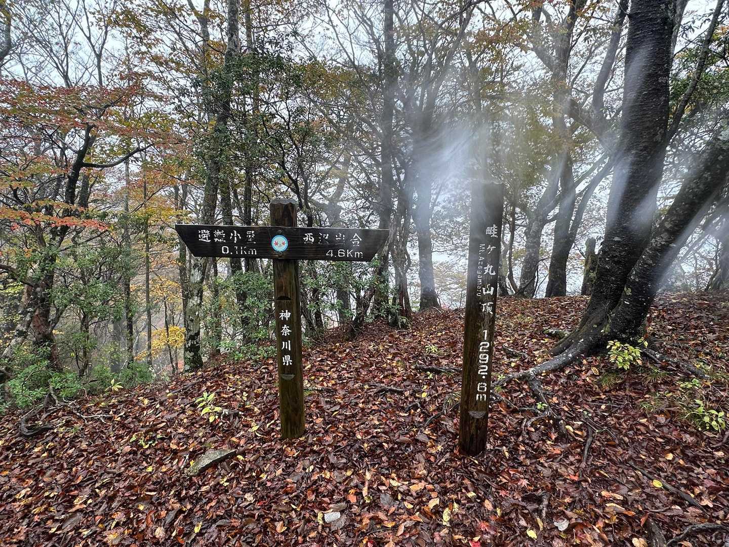 山頂、やったぜ