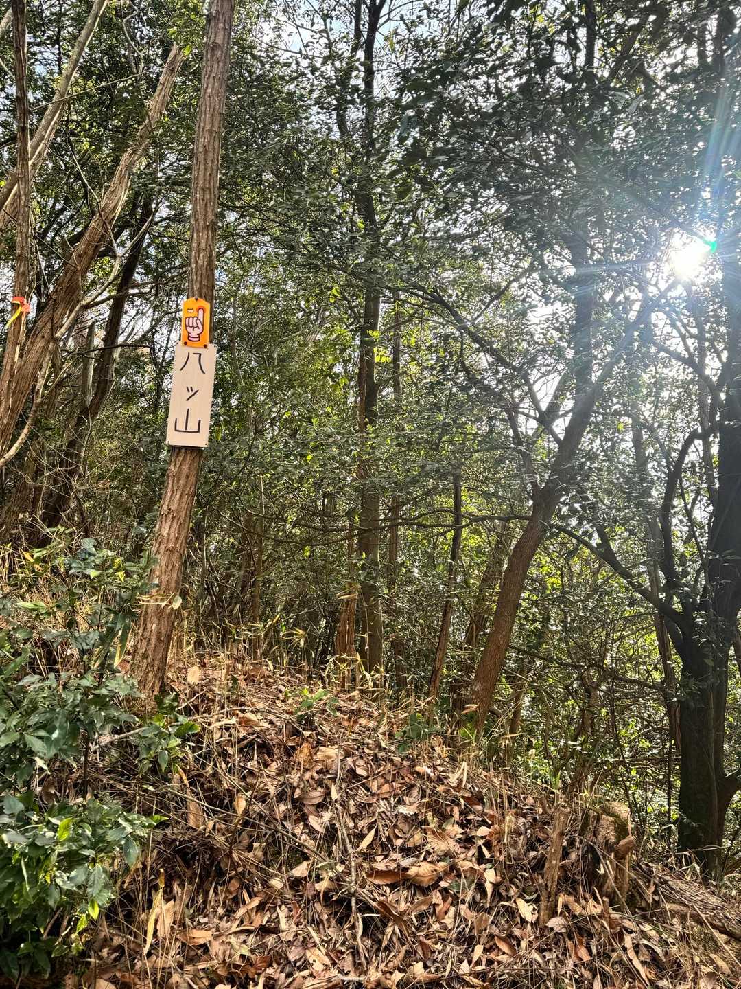 登山口