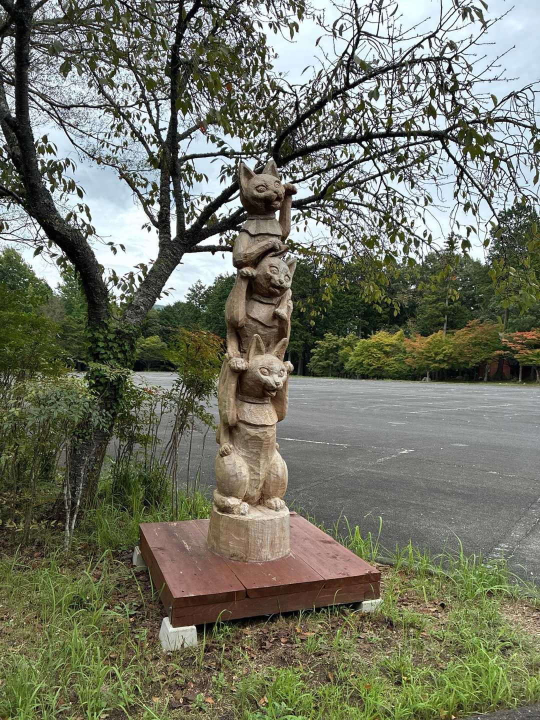 お世話になりました🙇‍♂️