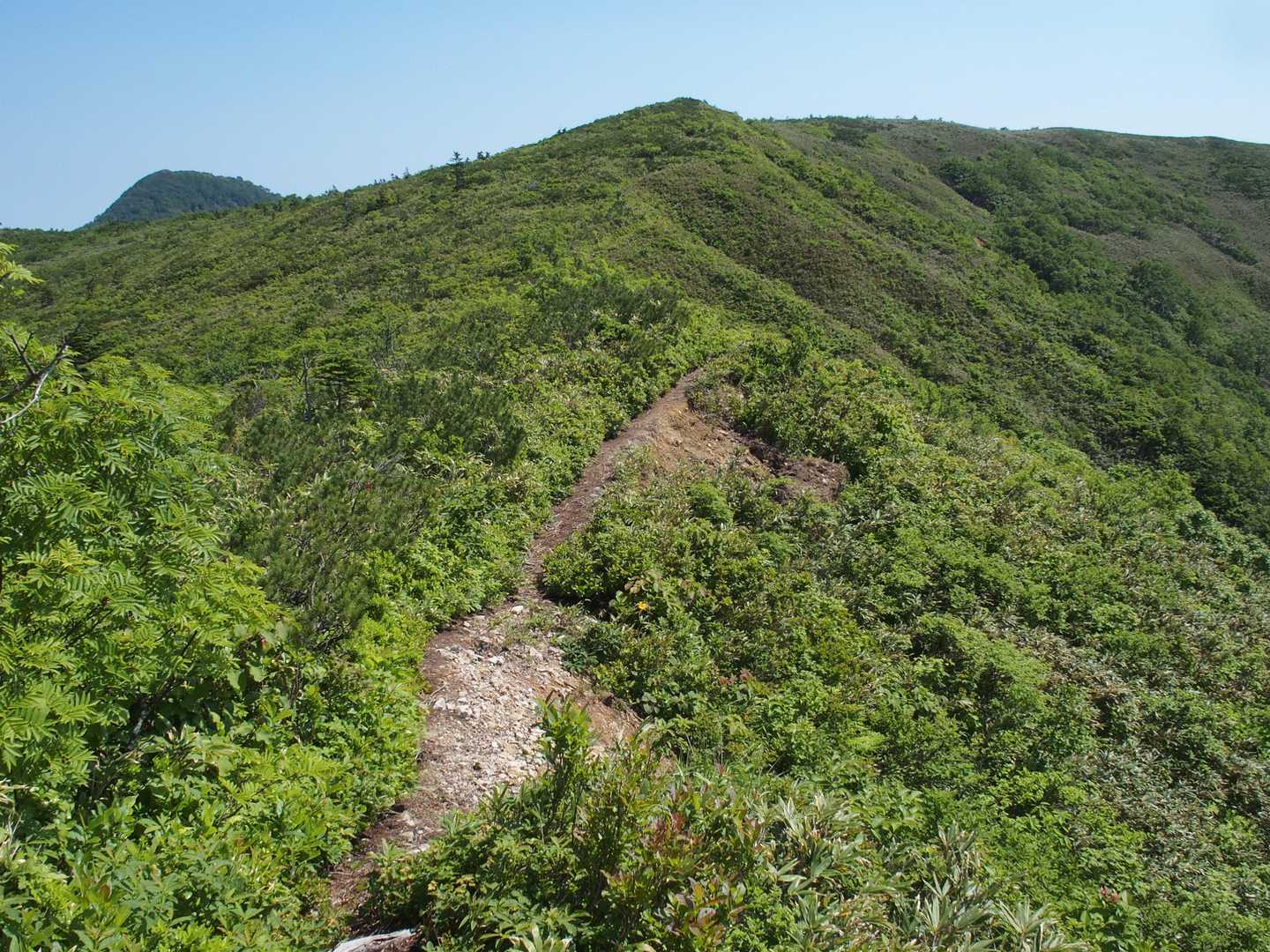 両古美山山頂に戻ります。
