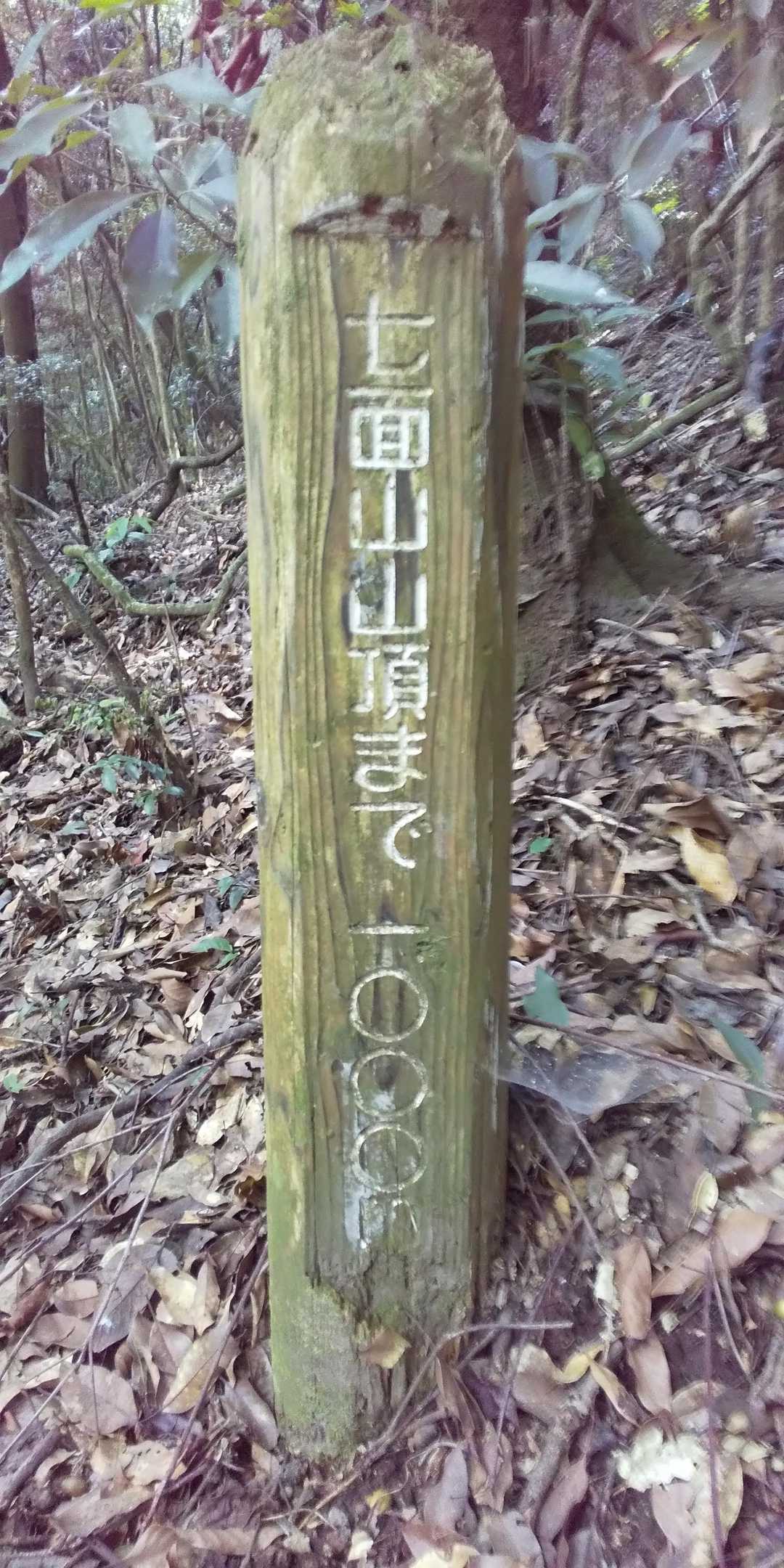 山頂まで1000メートル👀急登💃💃👍️