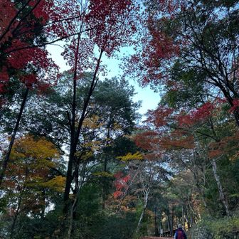 Bキャンプ場より西尾根へ