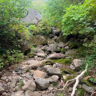 いよいよ涸れ沢を登って行きます😤