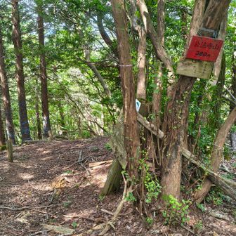 内貴山への分岐でもある公法寺山
山頂感はないです。