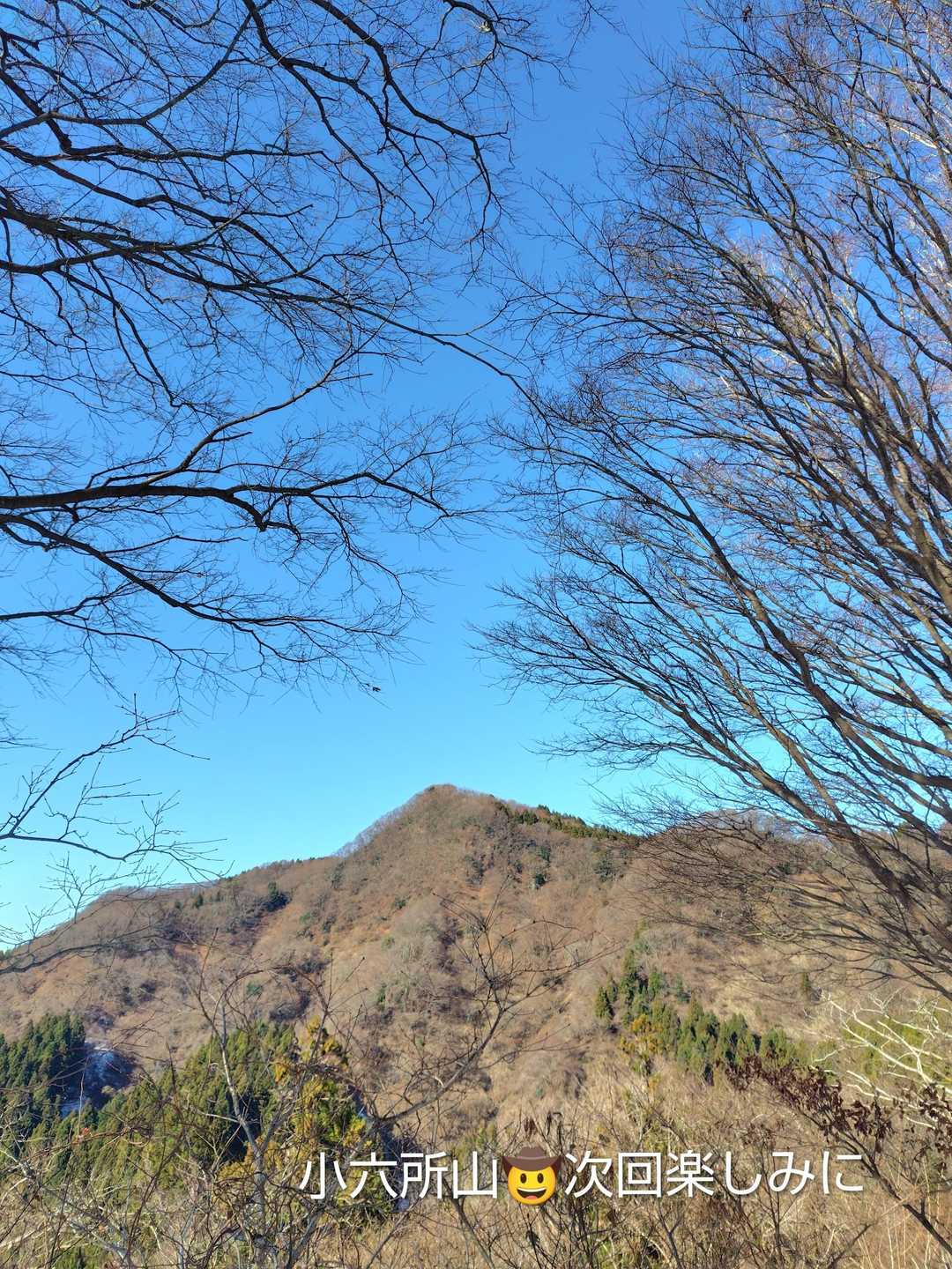 エボシ山登り口-エボシ山 往復コースの写真