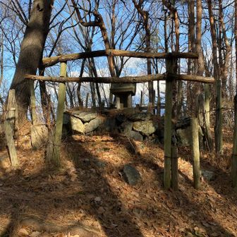 山頂の祠
素朴な鳥居がいい