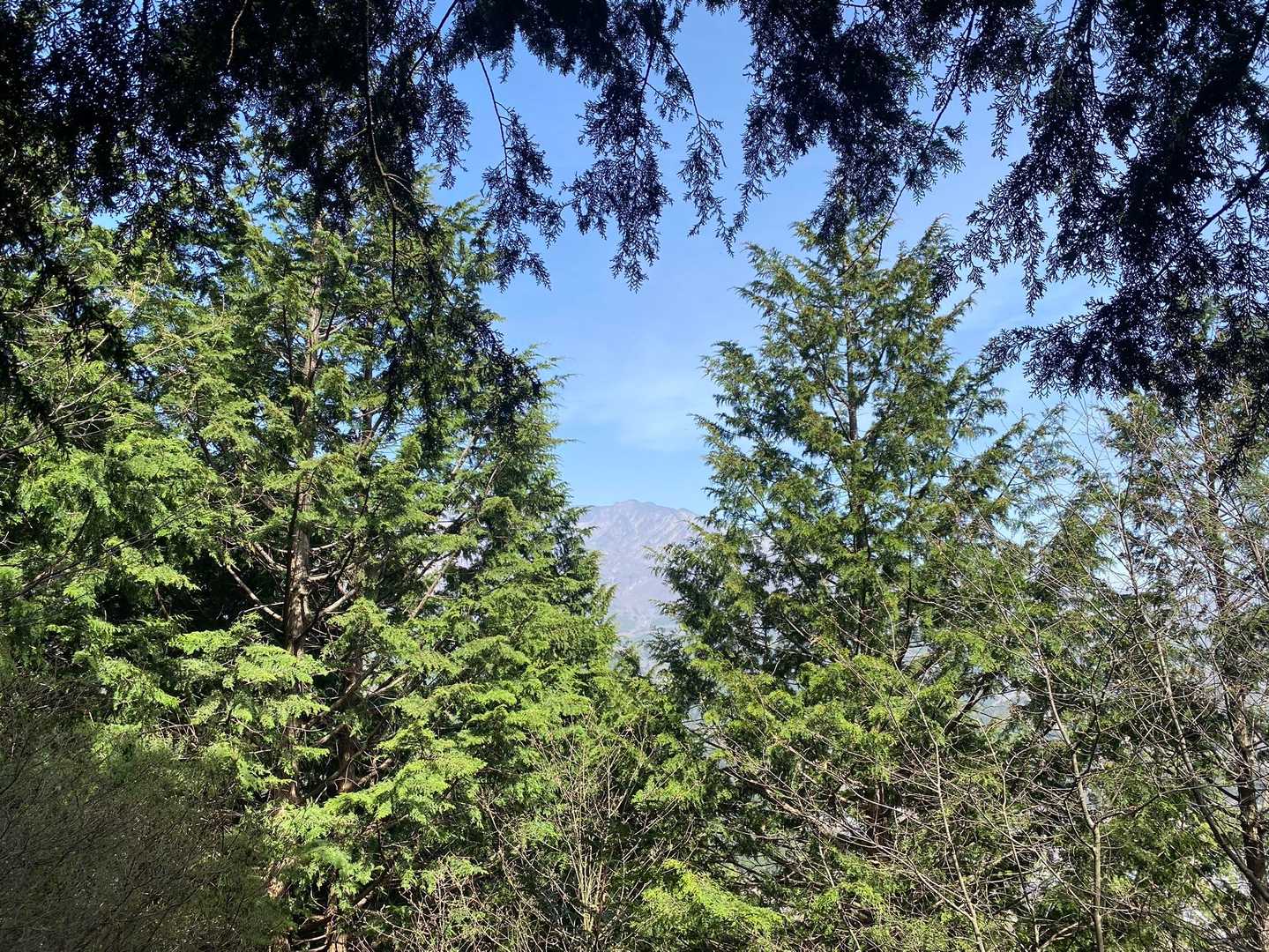 眺望も女峰山がちらっと見えるくらい。
お父さまお母さまのグループがとっても賑やかだったので、写真を撮るなり足早にお暇させていただきました😆