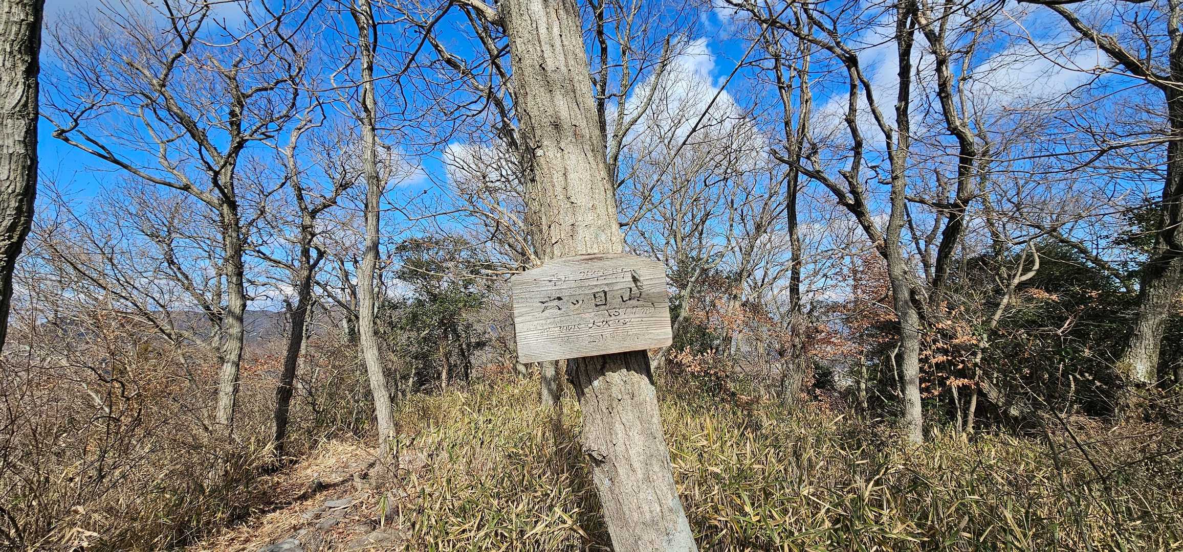 六ツ目山山頂