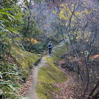 こんな道は少しだけ