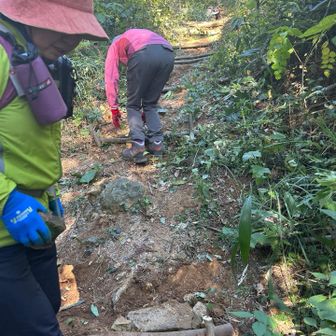 あとは上から踏み固める