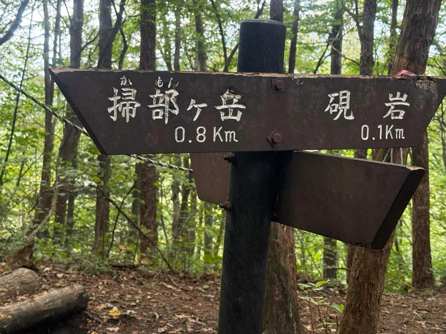 榛名山 往復コースの写真