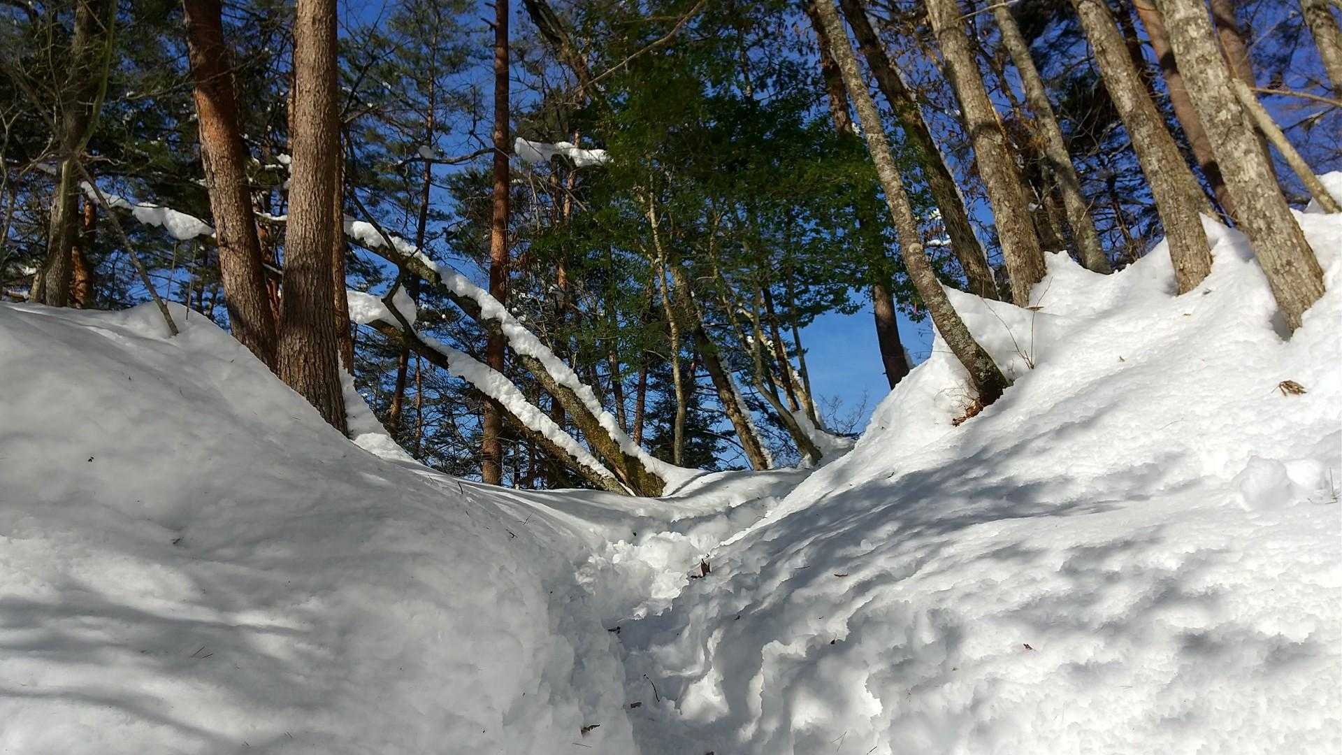 人々の足跡が道になり…
