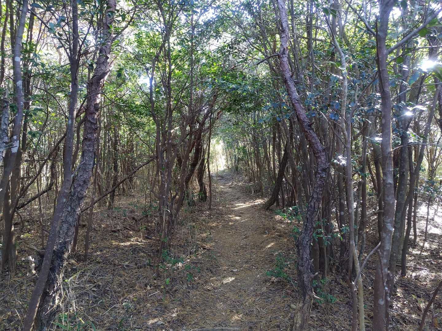 中宇利丸山-金山-雨生山-雨生山登山口 周回コースの写真