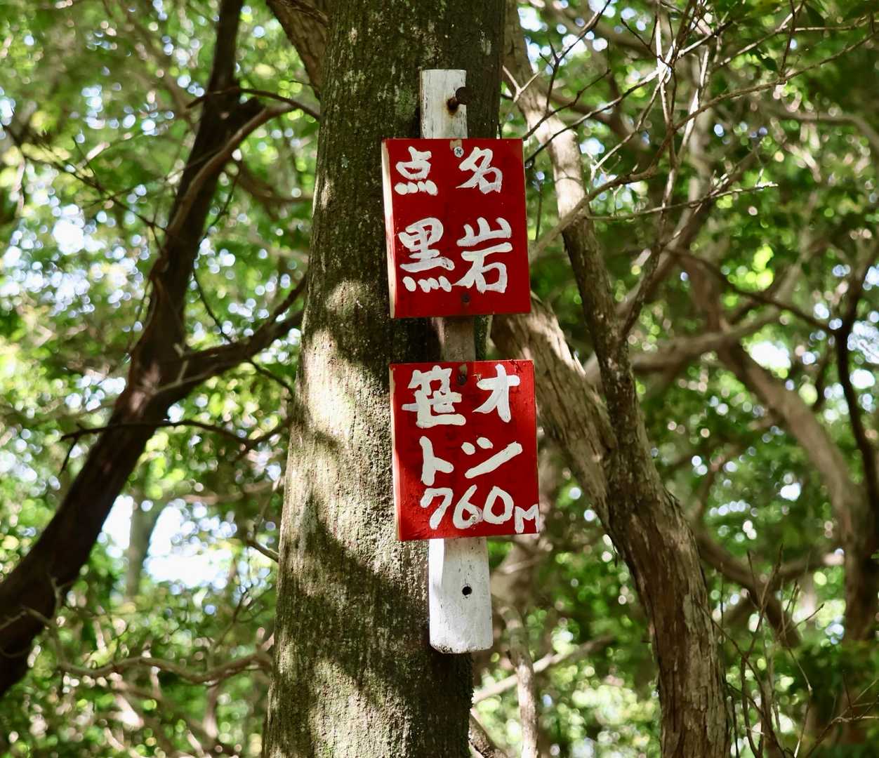 こちらにも