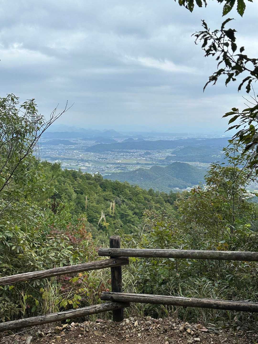 山頂でゆっくりするつもりだったけど、蜂が怖すぎて移動してます😨
