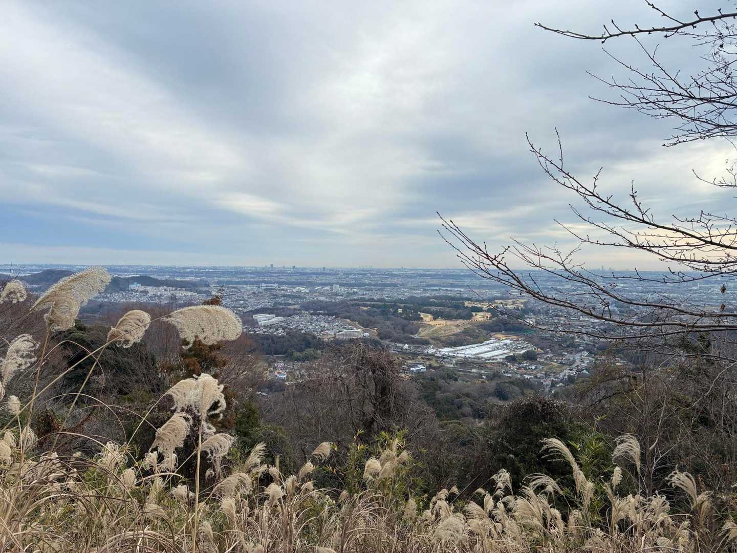 山頂からの展望