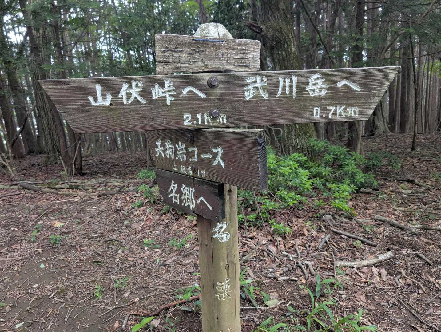 あっ！！
ここ！！【前武川岳】（まえたけかわだけ）山頂です！！（標高1003m）
ちょっと分岐点でもあって肝心の山頂表記が薄くて見落として行ってしまいそうでした！😅💦

あ〜良かった！
まずは、手前の前武川岳迄やって来れたわけですね...。
モチベーションが上がりますよ！😉🎶