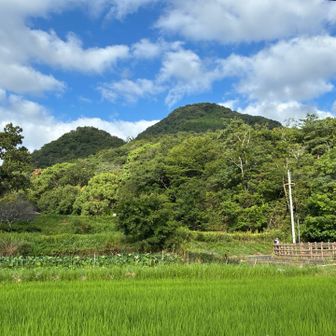 下山しました。
山頂よりも暑いがまだマシです。