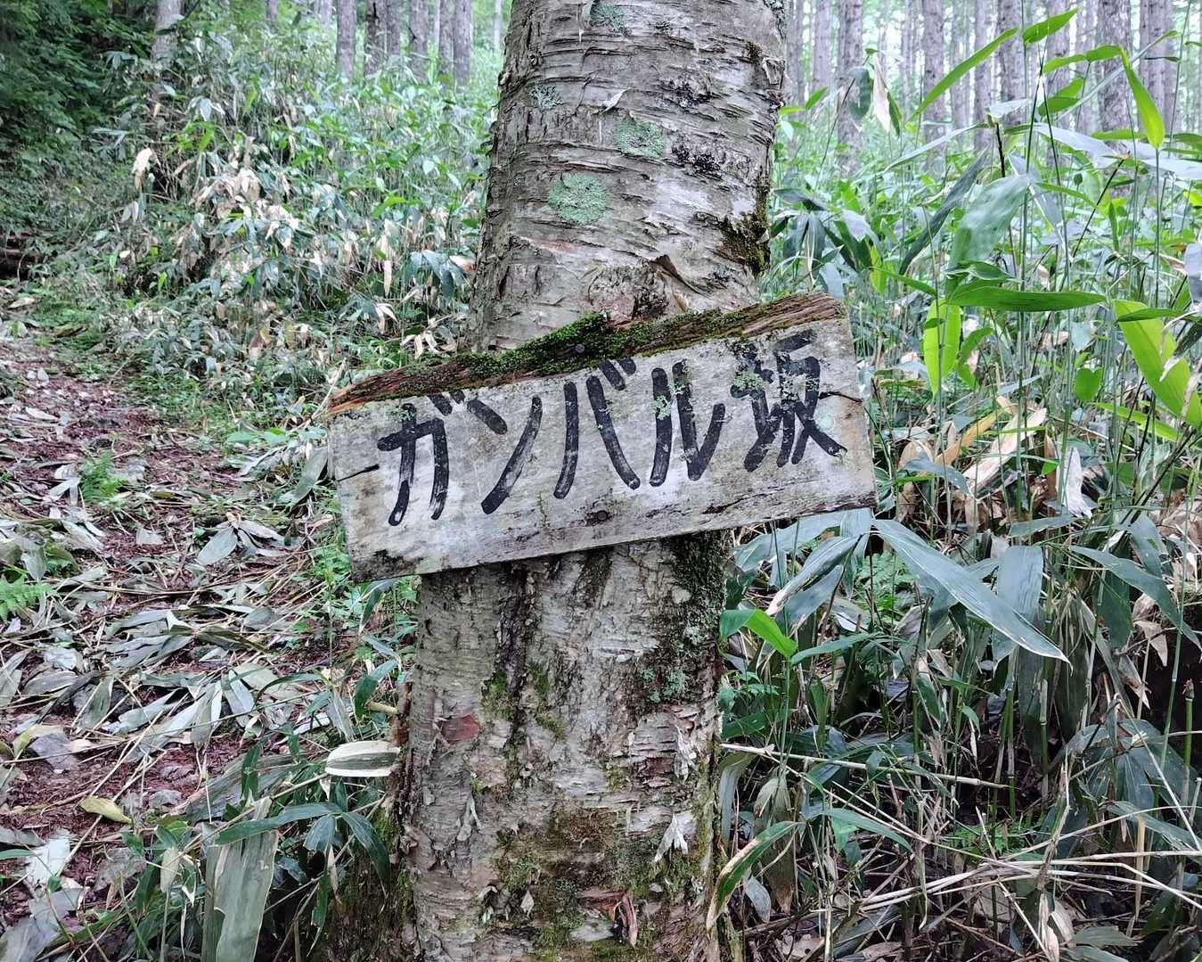 ここからガンバル坂