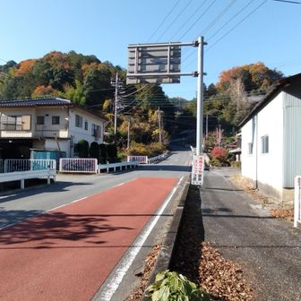 橋を渡り、ロードを進みます。