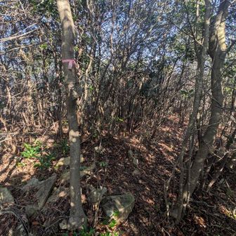 眺望はまったくありません！