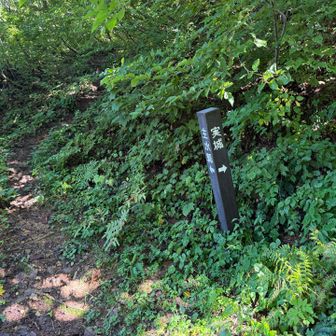 分岐を実城方面に進みます⛰️