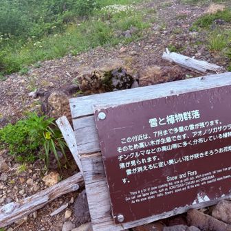 植物群落看板