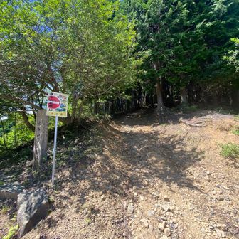ここから山頂へ👇
こっちの登山道から登ると通行料は取られません
もう一つのルートは200円取られます