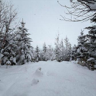 1番高い所着いた！🙌

・・・⁉️ん?山頂標識は？と。
