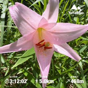 今日も楽しい山行でした