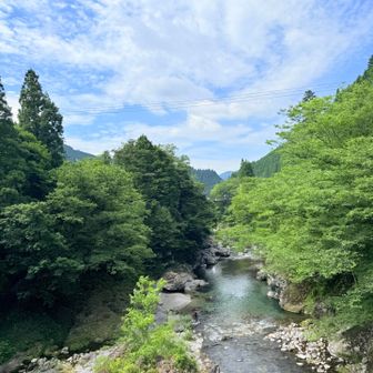 吊り橋からの景色