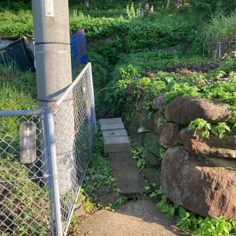 分かりにくいですが登山口はこちらから
